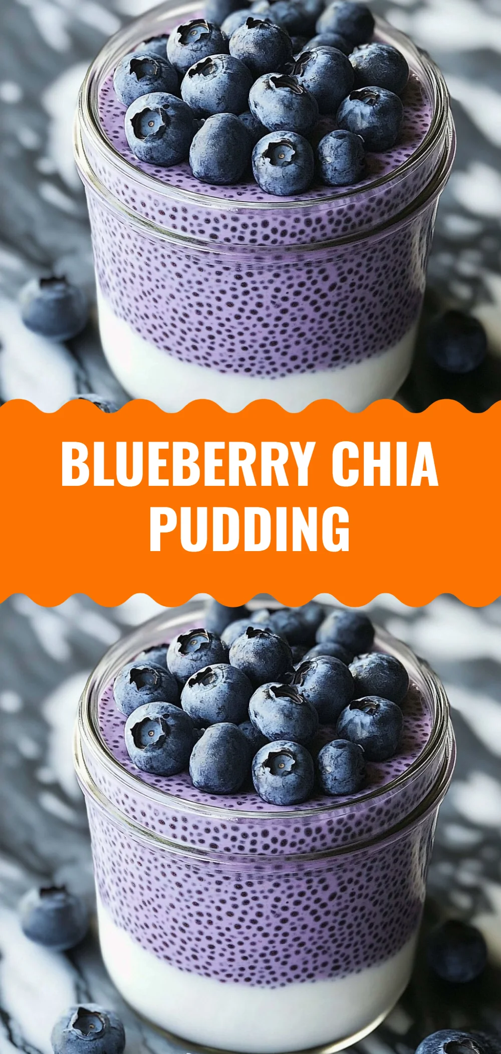 Blueberry Chia Pudding